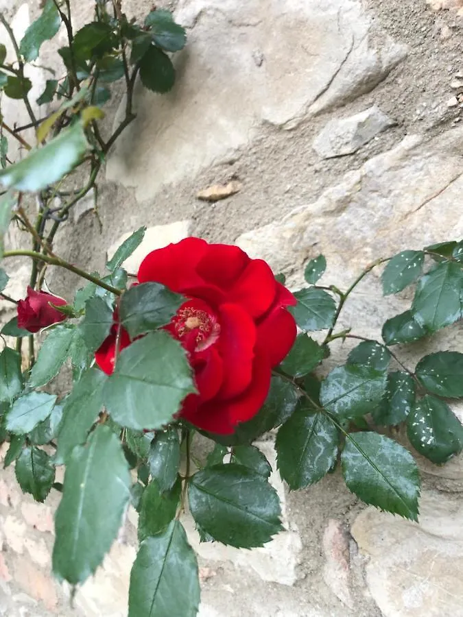 Vila Agriturismo Oria Bianca San Quirico dʼOrcia Farma