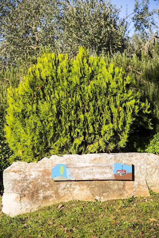 Vila Agriturismo Oria Bianca San Quirico dʼOrcia 0*,  Itálie